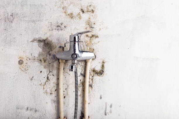 Trusted Beckett, NJ Mold Removal Experts