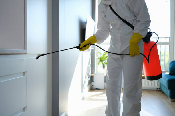 Home Mold Removal in Beckett, NJ